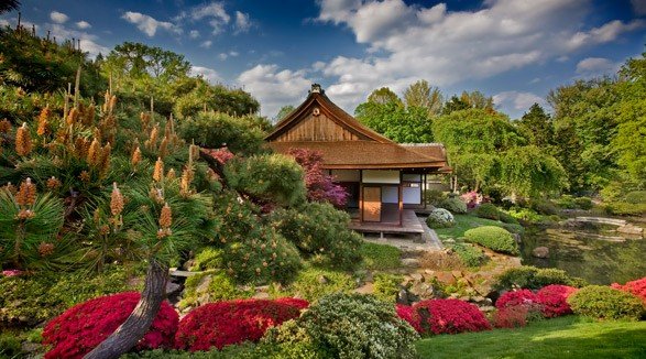 Japanese Tea House and Garden