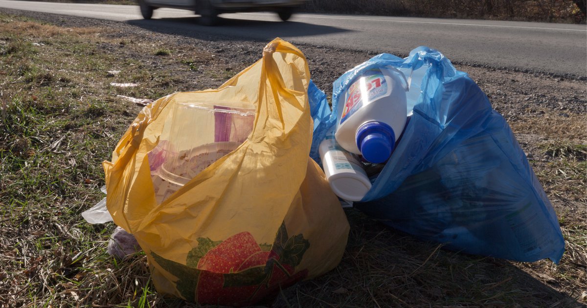 Plastic and paper bag ban bill passes New Jersey Senate PhillyVoice