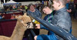 Pet Show - Kids with Alpaca