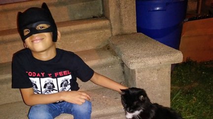 Catman