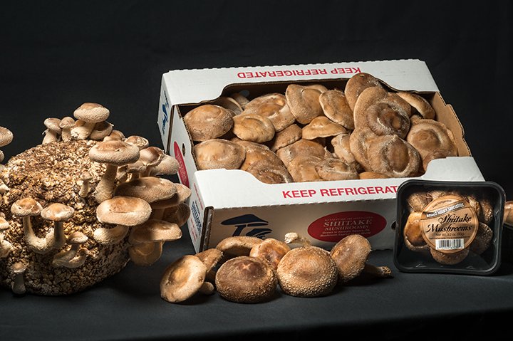 KSS Fresh is new mushroom vendor at Reading Terminal Market