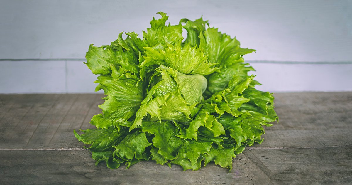 Is prewashed lettuce actually safe to eat as is? PhillyVoice