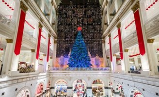 light show schedule 2025