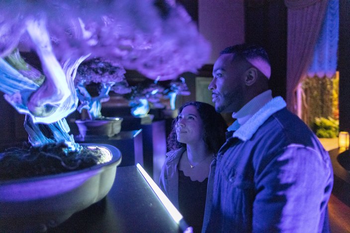 longwood garden glow 2