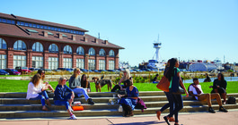 Limited - PIDC - Dry Docks