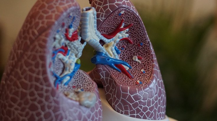 COPD cause respiratory system