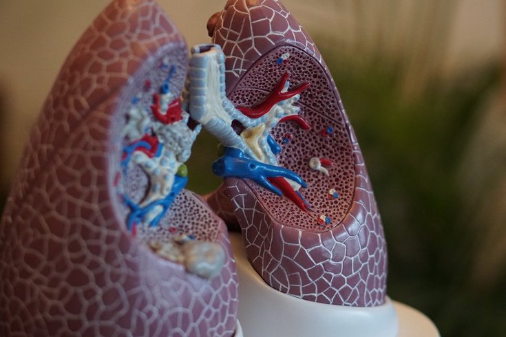 COPD cause respiratory system