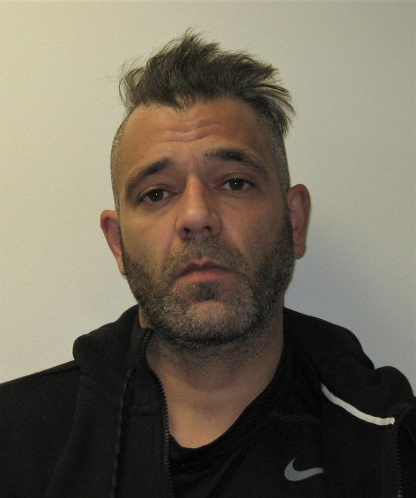 mark d'amico mugshot