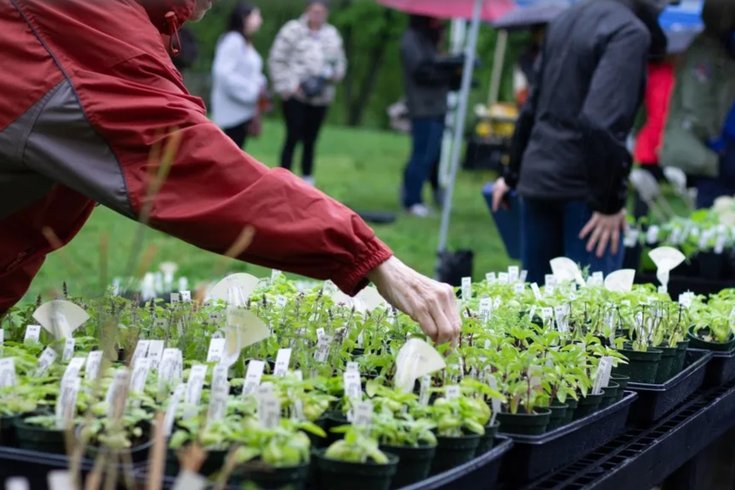 Master Gardener Plant Sale