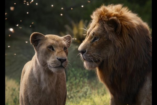 Mufasa and Simba 