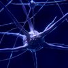 Nerve damage in Alzheimer's