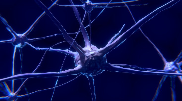 Nerve damage in Alzheimer's