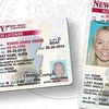 New Jersey driver's licenses