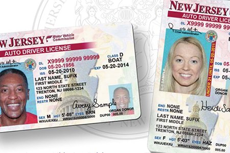 New Jersey driver's licenses