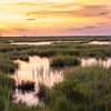 nj wetlands preservation