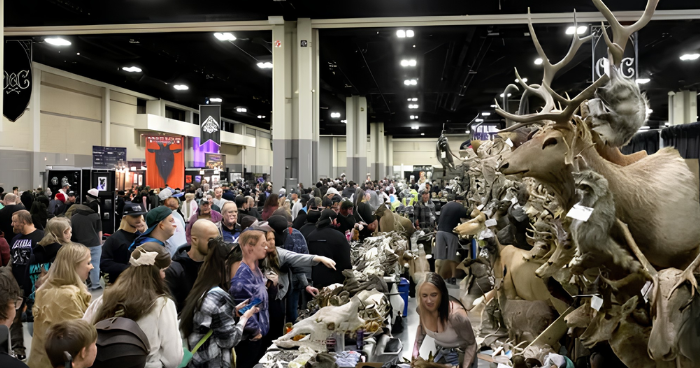 Skulls, taxidermy and preserved specimens: Oddities & Curiosities Expo is coming to Oaks Skulls, taxidermy and preserved specimens: Oddities & Curiosities Expo is coming to Oaks