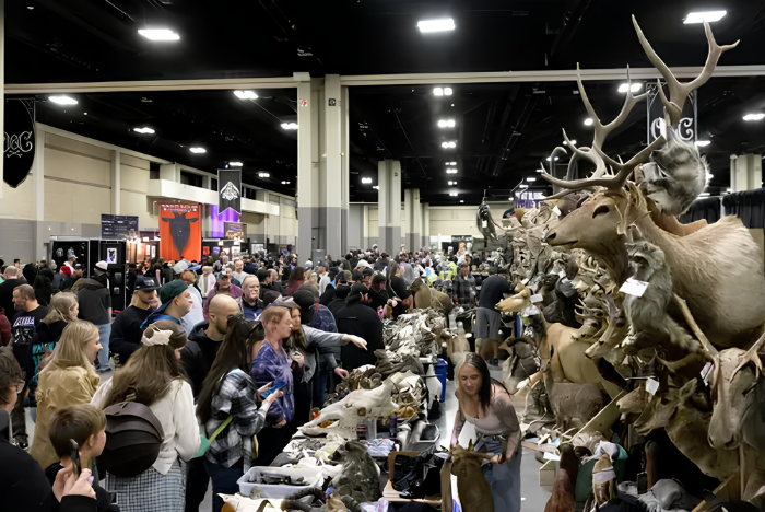 The Oddities & Curiosities Expo