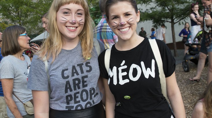 Internet Cat Video Festival