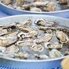 Oyster recall