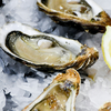 Oyster Photo for Oyster Bash