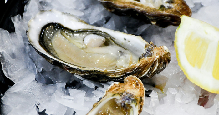 Shells of Liberty Oyster Bash