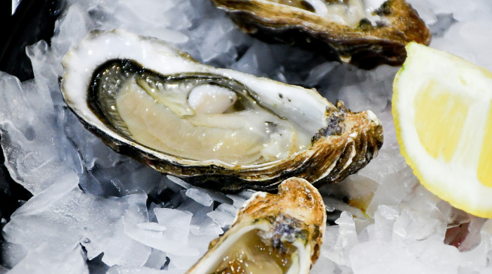 Oyster Photo for Oyster Bash