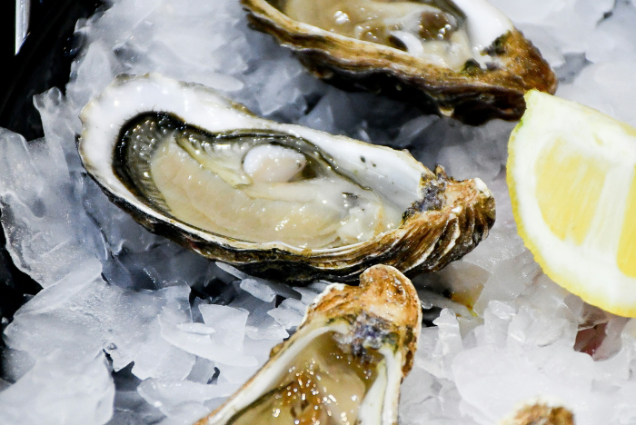 Oyster Photo for Oyster Bash