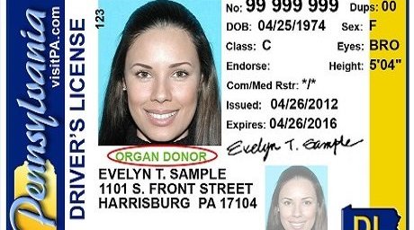 Pennsylvania driver's license 