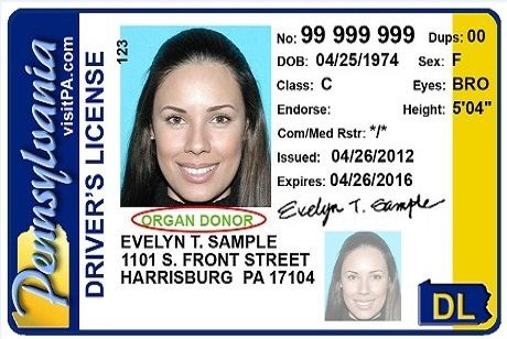 pennsylvania drivers license blank fake id template