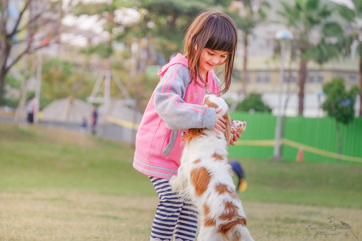 Link between having a pet dog in childhood and developing schizophrenia 