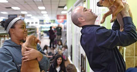 Dogs delight Pet store chain pledges to source from shelters