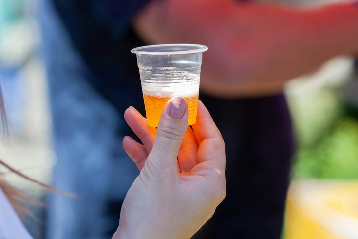 Beer or Cider Tasting