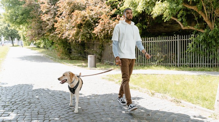 Long walks Heart Health