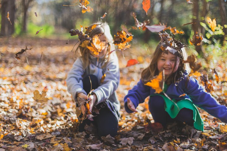 Children playing in autumn leaves