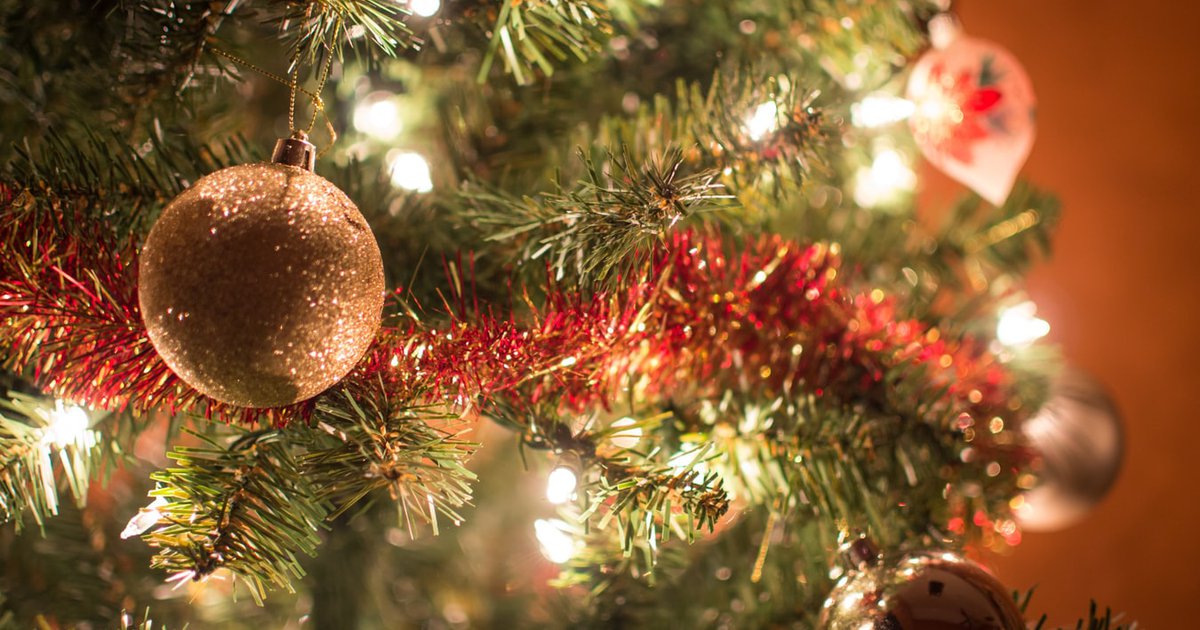 Christmas tree recycling in Philly: Environmentally friendly ways to ...