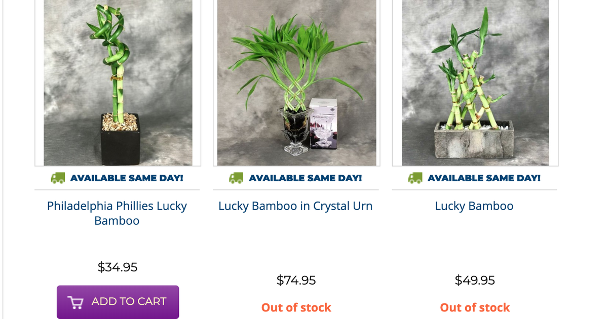 The Phillies lost seven straight games, so Brad Miller bought lucky bamboo  in Chinatown