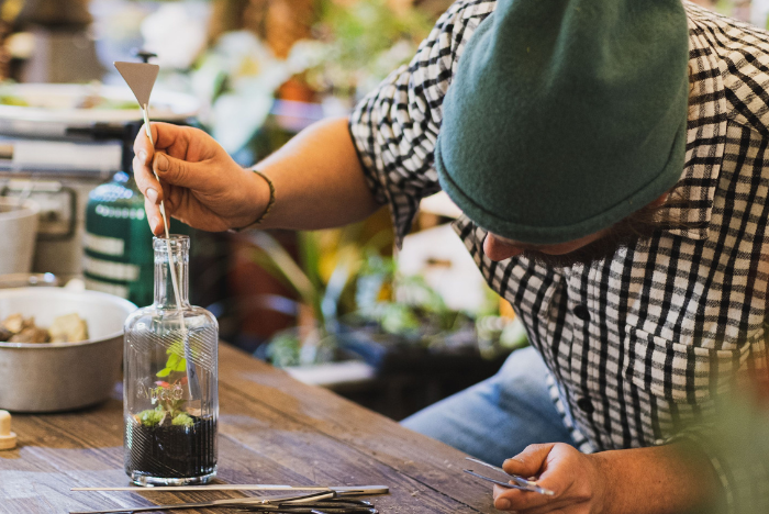 PHS Pop Up Manayunk Terrarium
