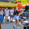 piazza alta harvest block party