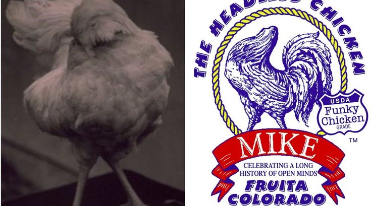 Mike the Headless Chicken