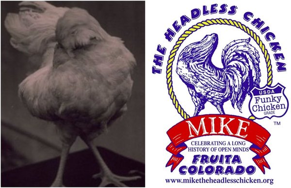 Mike the Headless Chicken