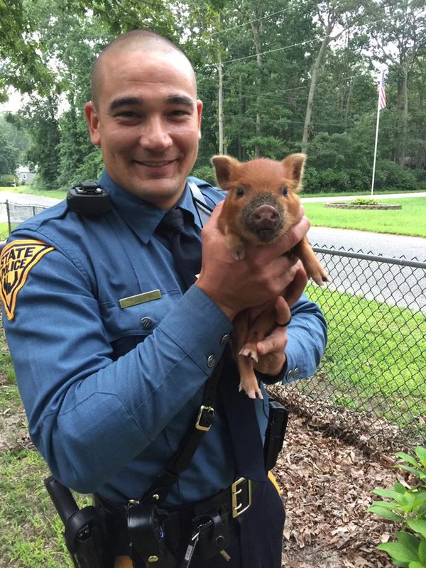 New Jersey State Police