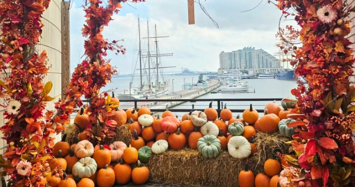 Cityside Pumpkin Patch returns to Liberty Point in Philadelphia with 10,000 pumpkins Cityside Pumpkin Patch returns to Liberty Point in Philadelphia with 10,000 pumpkins