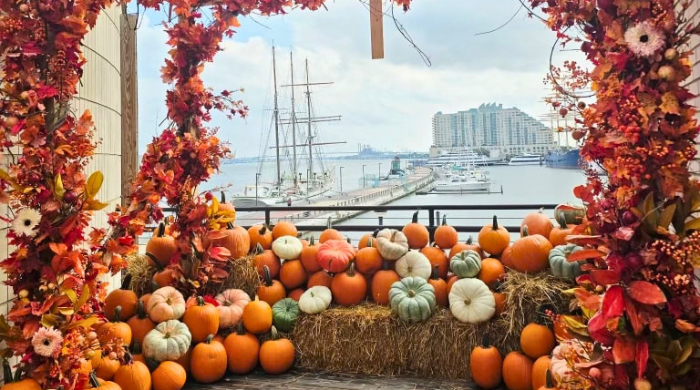 Cityside Pumpkin Patch