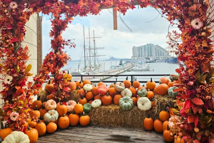 Cityside Pumpkin Patch