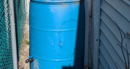 rain barrel