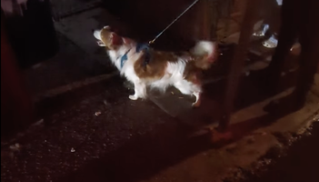rat hunting torch.png
