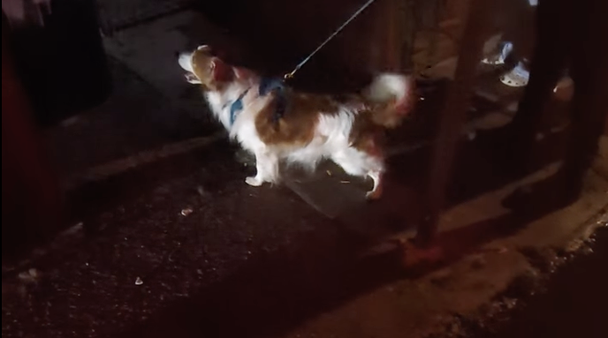 rat hunting torch.png