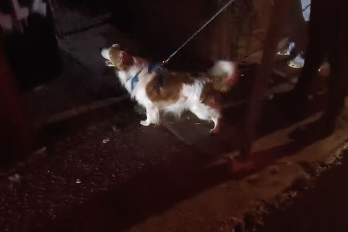 rat hunting torch.png