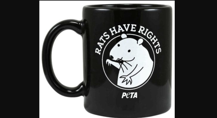 Rats have rights!