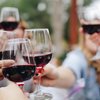 Red wine gut bacteria study